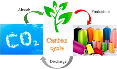 Recent progress in biobased synthetic textile fibers